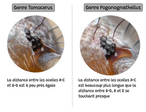Indéterminé